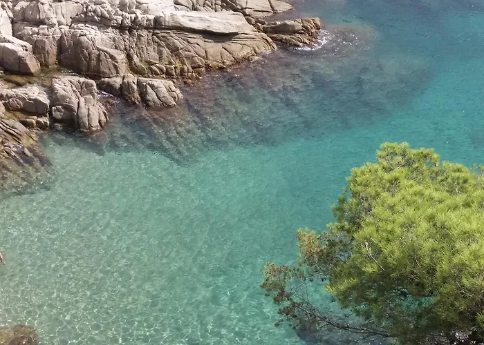 La Bastida De Calonge